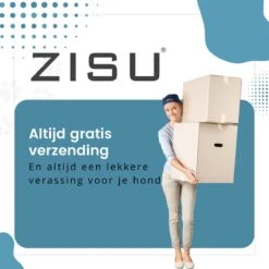 Hondentondeuse - Hondentrimmer - Dieren Tondeuse - Draadloos - 4 Opzetkammen - INCLUSIEF SNACKJE - Zwart -Huisdierbenodigdheden 1200x1200 396