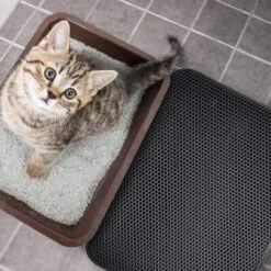 Merkloos Tastelio XXL Kattenbakmat 75x55cm - Groot Kattenbak Mat Met Innovatieve Honingraatstructuur - Dubbele Waterdichte Laag - Katten Bak Mat Met Eenvoudige Reiniging Grit Opvanger -Huisdierbenodigdheden 1200x1200 3993