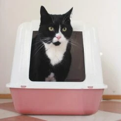 HG Tegen Kattenbakgeur - 500ml - Ongevaarlijk Voor Dier En Mens - Geurloos -Huisdierbenodigdheden 1200x1200 4014