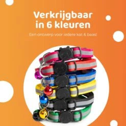 ACE Pets Reflecterende Kattenhalsband Met Veiligheidssluiting – Halsband Kat & Kitten - Met Adreskoker - Kittenhalsband & Kattenbandje Met Belletje - Zwart -Huisdierbenodigdheden 1200x1200 4041