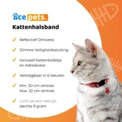 ACE Pets Reflecterende Kattenhalsband Met Veiligheidssluiting – Halsband Kat & Kitten - Met Adreskoker - Kittenhalsband & Kattenbandje Met Belletje - Zwart -Huisdierbenodigdheden 1200x1200 4043