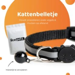 ACE Pets Reflecterende Kattenhalsband Met Veiligheidssluiting – Halsband Kat & Kitten - Met Adreskoker - Kittenhalsband & Kattenbandje Met Belletje - Zwart -Huisdierbenodigdheden 1200x1200 4045