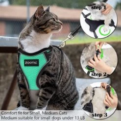 Kattentuigje Met Leiband Riem Kattenharnas Groen Maat M Kat & Kitten - Dieren Kattenriem - Cat Leash - Halsomvang 20 Tot 26cm - Borstomvang 30 Tot 34cm - Zootic® -Huisdierbenodigdheden 1200x1200 4056