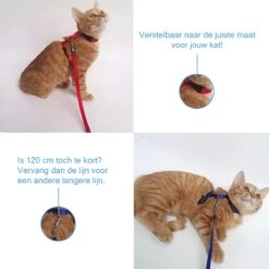 Kattentuigje Met Looplijn Kattenharnas Kittentuigje Kattenriem Met Looplijn Kat Kitten Tuigje Verstelbaar - Roze -Huisdierbenodigdheden 1200x1200 4066