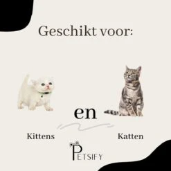 Petsify - Kattenhalsband Met Belletje - Veiligheidssluiting - Reflecterend - Halsband Kat - Halsband Kitten - Set Van 11 -Huisdierbenodigdheden 1200x1200 4072