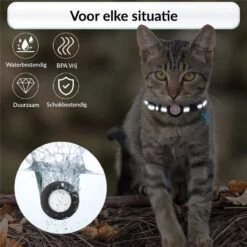 BJØRK Kattenhalsband Airtag - Reflecterend - Zwart - Verstelbaar - 20 Tot 30 Cm - Tracker- GPS - Geschikt Voor Apple AirTag - Kattenriem - Katten Accessoire - Halsband Kat Airtag -Huisdierbenodigdheden 1200x1200 4076