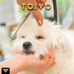 Toivo Schaar Voor Dieren - Zilver - Effileerscharen - Honden Scharenset - Dierenschaar - Set 5 Stuks - Trimscharen - Trimset - Uitdunschaar Hond - Schaar Honden -Huisdierbenodigdheden 1200x1200 408