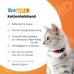 ACE Pets Reflecterende Kattenhalsband Met Veiligheidssluiting – Halsband Kat & Kitten - Met Adreskoker - Kittenhalsband & Kattenbandje Met Belletje - Geschikt Voor Apple Airtag - Zwart -Huisdierbenodigdheden 1200x1200 4083