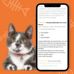 ACE Pets Reflecterende Kattenhalsband Met Veiligheidssluiting – Halsband Kat & Kitten - Met Adreskoker - Kittenhalsband & Kattenbandje Met Belletje - Geschikt Voor Apple Airtag - Zwart -Huisdierbenodigdheden 1200x1200 4084