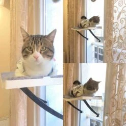 Hobipets - Kattenmand Raam - 5 Zuignappen - Hangmat Kat Raam -Huisdierbenodigdheden 1200x1200 4102