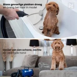 Nuvoo Professionele Hondenföhn / Waterblazer / Hondenborstel Met 3 Opzetstukken - Verstelbare Vermogen Tot 2200W - Warme / Koude Stand - Rood -Huisdierbenodigdheden 1200x1200 419