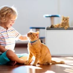 Relaxdays Kattenbak Ombouw - Met Zitkussen - Kattenhuis Wit - Kattenmeubel - Kattenkast -Huisdierbenodigdheden 1200x1200 4198