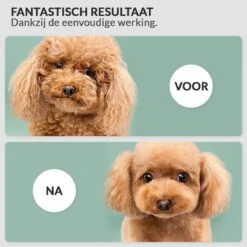 Krachtige Hondenföhn/ Waterblazer Met Draaiknop Om Overtollig Water En Stof Snel Uit De Vacht Te Blazen | Verstelbare Vermogen Standen (500W Tot 2200W) En Verstelbare Temperatuur - Type B Oranje -Huisdierbenodigdheden 1200x1200 423