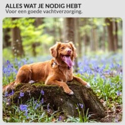 Krachtige Hondenföhn/ Waterblazer Met Draaiknop Om Overtollig Water En Stof Snel Uit De Vacht Te Blazen | Verstelbare Vermogen Standen (500W Tot 2200W) En Verstelbare Temperatuur - Type B Oranje -Huisdierbenodigdheden 1200x1200 424