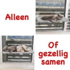 Merkloos Kattenhangmat - Kattenbed - Hangmat Kat Raam Ook Voor Radiator En Deur - Kattenmand Raam En Radiator - Katten Hangmat - Radiatorhangmat Kat Kattenstoel - Tijdelijk Met Extra Hangmat Hoes 16 Merkloos Kattenhangmat - Kattenbed - Hangmat Kat Raam Ook Voor Radiator En Deur - Kattenmand Raam En Radiator - Katten Hangmat - Radiatorhangmat Kat Kattenstoel - Tijdelijk Met Extra Hangmat Hoes -Huisdierbenodigdheden 1200x1200 4241