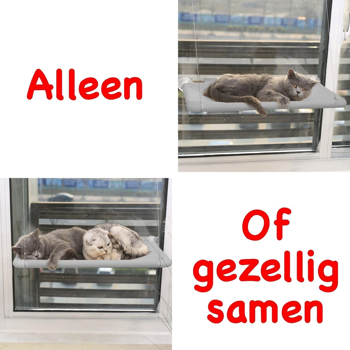 Merkloos Kattenhangmat - Kattenbed - Hangmat Kat Raam Ook Voor Radiator En Deur - Kattenmand Raam En Radiator - Katten Hangmat - Radiatorhangmat Kat Kattenstoel - Tijdelijk Met Extra Hangmat Hoes 7 Merkloos Kattenhangmat - Kattenbed - Hangmat Kat Raam Ook Voor Radiator En Deur - Kattenmand Raam En Radiator - Katten Hangmat - Radiatorhangmat Kat Kattenstoel - Tijdelijk Met Extra Hangmat Hoes - Afbeelding 7