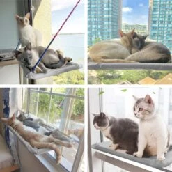 Merkloos Kattenhangmat - Kattenbed - Hangmat Kat Raam Ook Voor Radiator En Deur - Kattenmand Raam En Radiator - Katten Hangmat - Radiatorhangmat Kat Kattenstoel - Tijdelijk Met Extra Hangmat Hoes 19 Merkloos Kattenhangmat - Kattenbed - Hangmat Kat Raam Ook Voor Radiator En Deur - Kattenmand Raam En Radiator - Katten Hangmat - Radiatorhangmat Kat Kattenstoel - Tijdelijk Met Extra Hangmat Hoes -Huisdierbenodigdheden 1200x1200 4243
