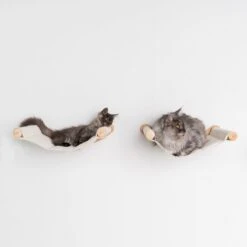 RHRQuality Wandmeubel Wandmontage Klimmuur Kat 53 X 43cm Luxe Hangmat XXL Creme Klim Wand Muur Krabpaal Katten Muurbevestiging -Huisdierbenodigdheden 1200x1200 4250