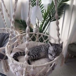 Bonbox Shop - Macrame Hangmat Voor Katten En Kittens - Kattenhammock - Hangmand -Huisdierbenodigdheden 1200x1200 4254