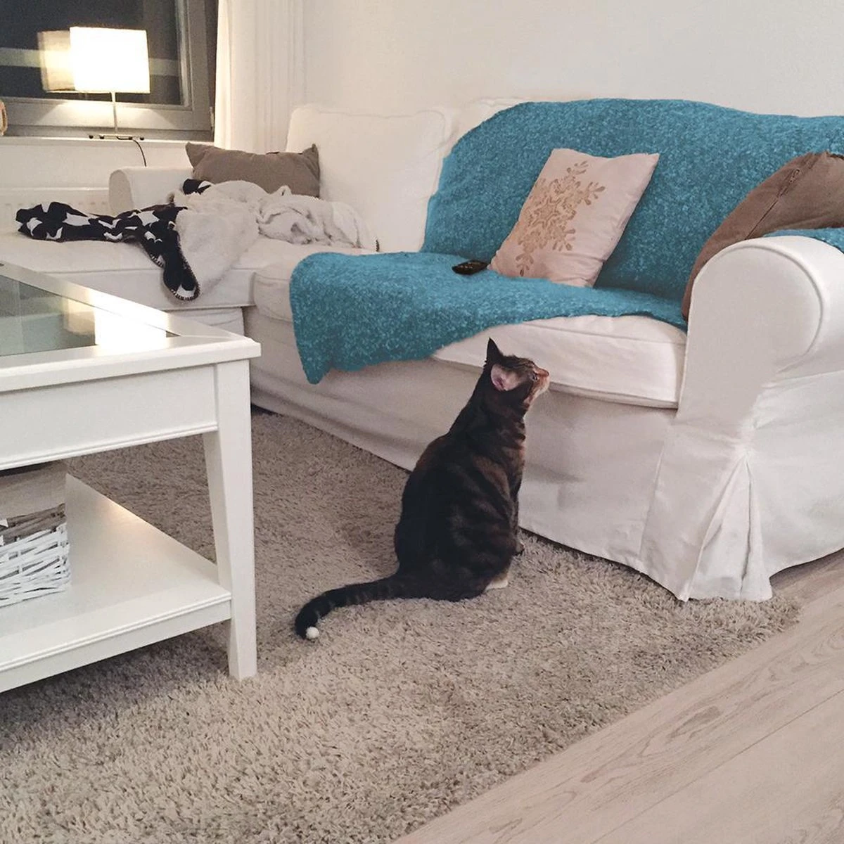 HG Tegen Urine Geur - 500 Ml - Effectief En Snel Resultaat - Neemt De Geur Definitief Weg 3 HG Tegen Urine Geur - 500 Ml - Effectief En Snel Resultaat - Neemt De Geur Definitief Weg - Afbeelding 3