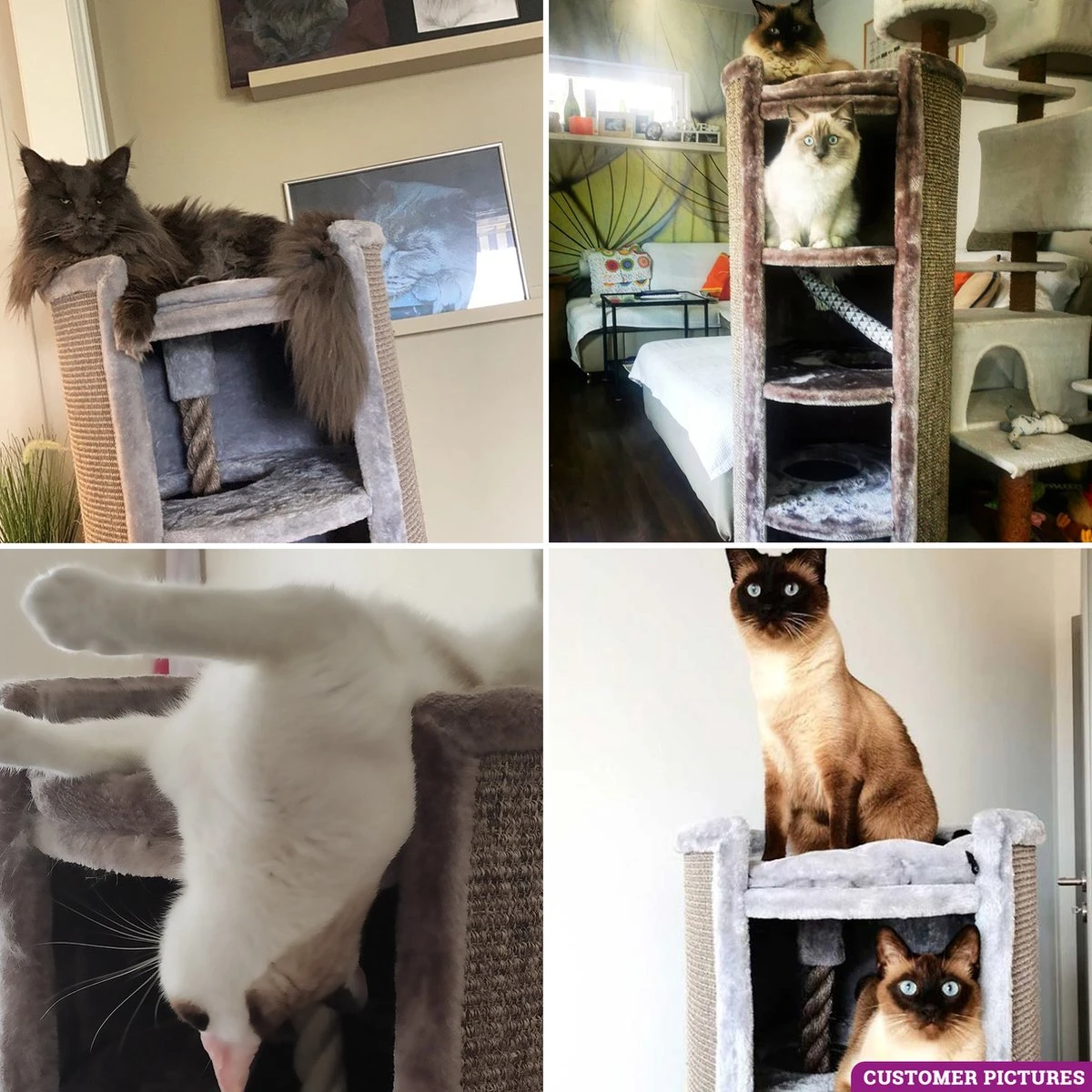 Petrebels Superdome 120 Krabton Voor Katten - Cappuccino - 49 X 49 X 120 Cm 5 Petrebels Superdome 120 Krabton Voor Katten - Cappuccino - 49 X 49 X 120 Cm - Afbeelding 5