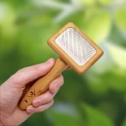 Pfotenolymp® Zachte Borstel Voor Katten - Kattenborstel / Kattenkam Van Bamboe - Bontborstel / Vachtborstel / Kattenhaarborstel - Bontkam Voor Vachtverzorging -Huisdierbenodigdheden 1200x1200 4288