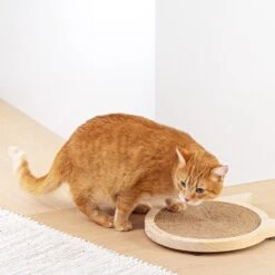 Navaris Houten Krabplank Voor Katten - Krabmat Van Hout En Sisal Voor Aan De Muur - In De Vorm Van Een Kattenkop - Te Bevestigen Met Zuignappen 10 Navaris Houten Krabplank Voor Katten - Krabmat Van Hout En Sisal Voor Aan De Muur - In De Vorm Van Een Kattenkop - Te Bevestigen Met Zuignappen -Huisdierbenodigdheden 1200x1200 4309