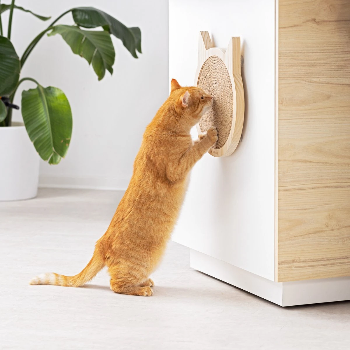 Navaris Houten Krabplank Voor Katten - Krabmat Van Hout En Sisal Voor Aan De Muur - In De Vorm Van Een Kattenkop - Te Bevestigen Met Zuignappen 7 Navaris Houten Krabplank Voor Katten - Krabmat Van Hout En Sisal Voor Aan De Muur - In De Vorm Van Een Kattenkop - Te Bevestigen Met Zuignappen - Afbeelding 7