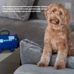 Nuvoo Professionele Hondenföhn / Waterblazer / Hondenborstel Met 3 Opzetstukken - Verstelbare Vermogen Tot 2200W - Warme / Koude Stand - Zwart -Huisdierbenodigdheden 1200x1200 441