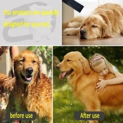 Hondenfohn - Waterblazer Met Draaiknop - 2400W Vermogen Met Warme En Koude Stand - Wit -Huisdierbenodigdheden 1200x1200 446