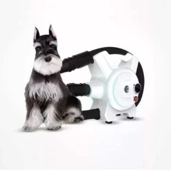 Hondenfohn - Waterblazer Met Draaiknop - 2400W Vermogen Met Warme En Koude Stand - Wit -Huisdierbenodigdheden 1200x1200 447