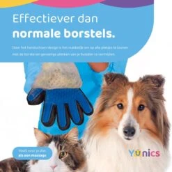 YUNICS® Dieren Handschoen - Haarverwijderaar Voor Huisdieren - Kattenborstel - Hondenborstel - Hondenkam - Kattenhaarverwijderaar - Blauw 7 YUNICS® Dieren Handschoen - Haarverwijderaar Voor Huisdieren - Kattenborstel - Hondenborstel - Hondenkam - Kattenhaarverwijderaar - Blauw -Huisdierbenodigdheden 1200x1200 546