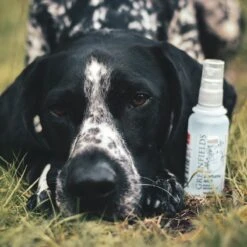 Hondenparfum Spray In 4 Geuren - Greenfields - Alchoholvrije En PH Neutrale Formule Tegen Onaangename Geurtjes - 50ml - Wild -Huisdierbenodigdheden 1200x1200 557