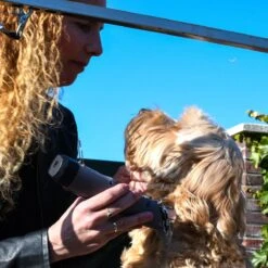 Clipr Ultimate 2-speed Hondentondeuse Op Accu -Huisdierbenodigdheden 1200x1200 564