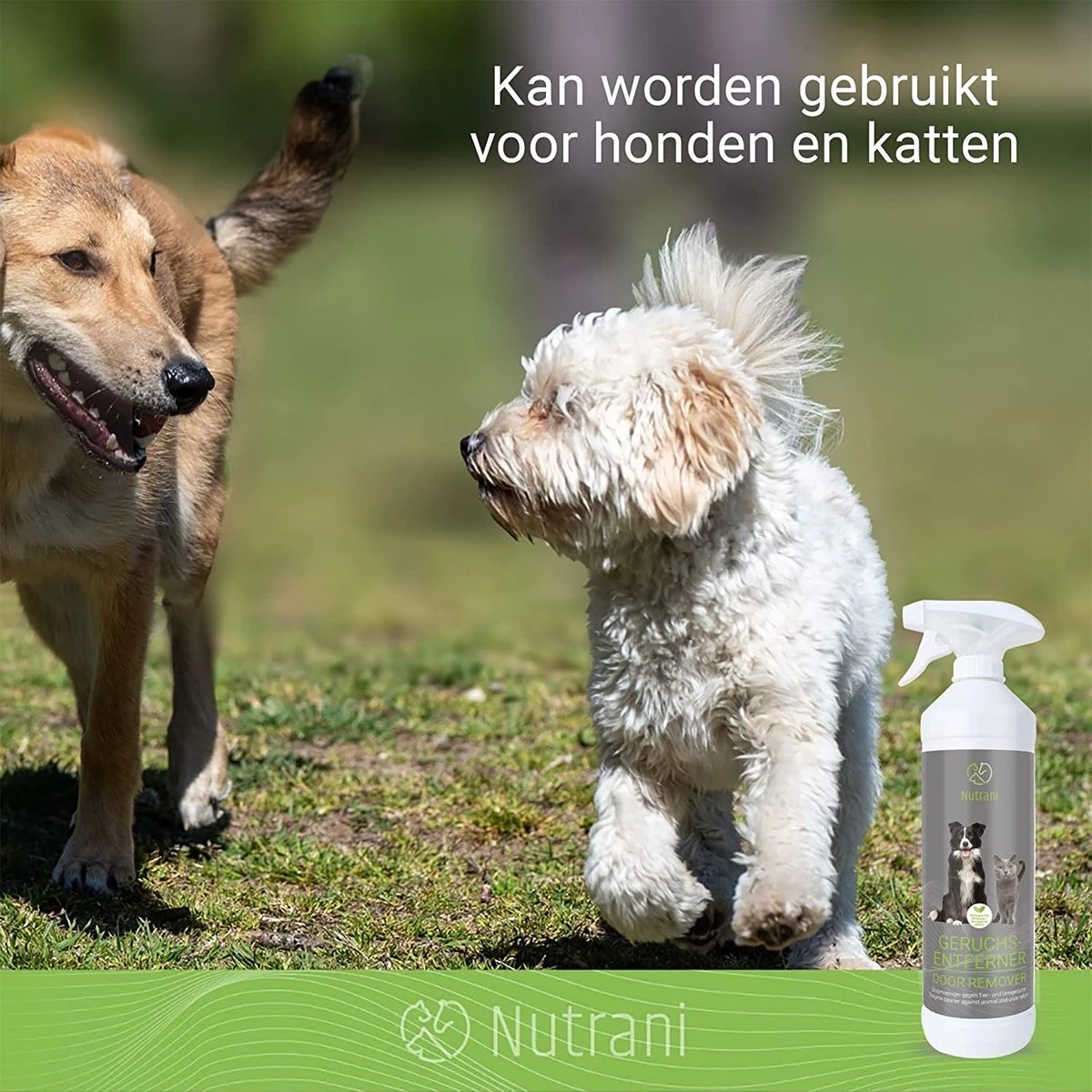 Nutrani Geurverwijderaar, 750 Ml, Natuurlijke Enzymreiniger Als Gebruiksklare Spray Met Biologische Werking, Verwijdert Geurtjes, Urine, Poep En Vlekken Van Honden En Katten 3 Nutrani Geurverwijderaar, 750 Ml, Natuurlijke Enzymreiniger Als Gebruiksklare Spray Met Biologische Werking, Verwijdert Geurtjes, Urine, Poep En Vlekken Van Honden En Katten - Afbeelding 3
