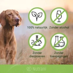 Nutrani Geurverwijderaar, 750 Ml, Natuurlijke Enzymreiniger Als Gebruiksklare Spray Met Biologische Werking, Verwijdert Geurtjes, Urine, Poep En Vlekken Van Honden En Katten 10 Nutrani Geurverwijderaar, 750 Ml, Natuurlijke Enzymreiniger Als Gebruiksklare Spray Met Biologische Werking, Verwijdert Geurtjes, Urine, Poep En Vlekken Van Honden En Katten -Huisdierbenodigdheden 1200x1200 578