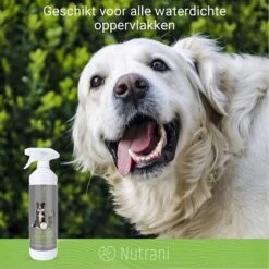 Nutrani Geurverwijderaar, 750 Ml, Natuurlijke Enzymreiniger Als Gebruiksklare Spray Met Biologische Werking, Verwijdert Geurtjes, Urine, Poep En Vlekken Van Honden En Katten 11 Nutrani Geurverwijderaar, 750 Ml, Natuurlijke Enzymreiniger Als Gebruiksklare Spray Met Biologische Werking, Verwijdert Geurtjes, Urine, Poep En Vlekken Van Honden En Katten -Huisdierbenodigdheden 1200x1200 579