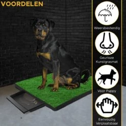 Toivo HondenToilet Kunstgras - Zwart - Geurafstotend - 62 X 49 X 6.6 CM - Honden Wc Outdoor - Zindelijkheidstraining Hond - Puppy Pads - Dierentoilet -Huisdierbenodigdheden 1200x1200 595