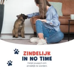 JC Pets Premium Puppy Training Pads - Hondentoilet - Zindelijkheidstraining Hond - 100 Stuks - 60 X 45 Cm -Huisdierbenodigdheden 1200x1200 634