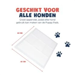 JC Pets Premium Puppy Training Pads - Hondentoilet - Zindelijkheidstraining Hond - 100 Stuks - 60 X 45 Cm -Huisdierbenodigdheden 1200x1200 635