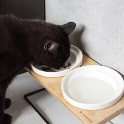 Navaris Verhoogde Voerbakset Met Standaard - 2 Keramische Voerbakken Met Houder Van Bamboe En Metaal - Voer- En Drinkbak Voor Kat En Hond - Antislip -Huisdierbenodigdheden 1200x1200 64