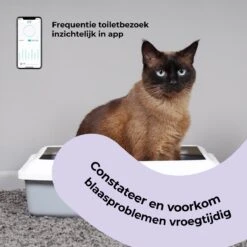 Pettadore Air Insight - Kattenbak Geurverdrijver & Teller - Actieve Zuurstof En Ionen - Oplaadbaar - Met App 18 Pettadore Air Insight - Kattenbak Geurverdrijver & Teller - Actieve Zuurstof En Ionen - Oplaadbaar - Met App -Huisdierbenodigdheden 1200x1200 642