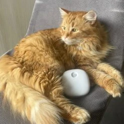 Pettadore Air Insight - Kattenbak Geurverdrijver & Teller - Actieve Zuurstof En Ionen - Oplaadbaar - Met App 26 Pettadore Air Insight - Kattenbak Geurverdrijver & Teller - Actieve Zuurstof En Ionen - Oplaadbaar - Met App -Huisdierbenodigdheden 1200x1200 650