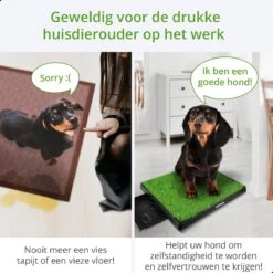 AWEMOZ Hondentoilet Kunstgras - Met 2 Matten En Opvangbak - 64x52x7,5cm - Puppy Pads - Zindelijkheidstraining Hond - Training Pads - Indoor / Outdoor Honden Toilet -Huisdierbenodigdheden 1200x1200 664