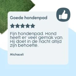 Merkloos Gtrise Hondentoilet Met 2 Matten - Out/Indoor - Zindelijkheidstraining Ebook - Dieren Wc 14 Merkloos Gtrise Hondentoilet Met 2 Matten - Out/Indoor - Zindelijkheidstraining Ebook - Dieren Wc -Huisdierbenodigdheden 1200x1200 671