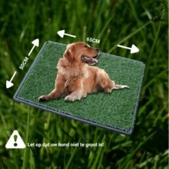 Merkloos Gtrise Hondentoilet Met 2 Matten - Out/Indoor - Zindelijkheidstraining Ebook - Dieren Wc 15 Merkloos Gtrise Hondentoilet Met 2 Matten - Out/Indoor - Zindelijkheidstraining Ebook - Dieren Wc -Huisdierbenodigdheden 1200x1200 672