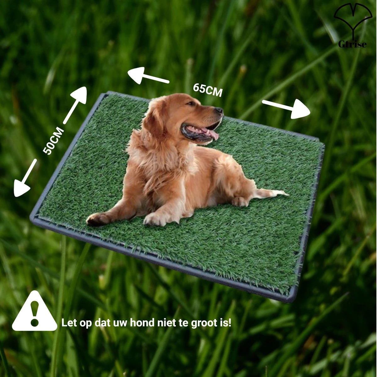 Merkloos Gtrise Hondentoilet Met 2 Matten - Out/Indoor - Zindelijkheidstraining Ebook - Dieren Wc 8 Merkloos Gtrise Hondentoilet Met 2 Matten - Out/Indoor - Zindelijkheidstraining Ebook - Dieren Wc - Afbeelding 8