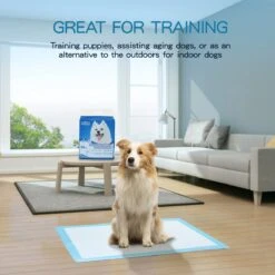 Nobleza 48WQF - Puppy Training Pads - 60 X 90 Cm - Zindelijkheidstraining -50 Stuks - L -Huisdierbenodigdheden 1200x1200 676