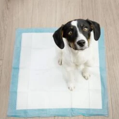 Springos Puppy Training Pads| Plasmatjes Hond | Zindelijkheidstraining | 10 Stuks | 35 X 45 Cm -Huisdierbenodigdheden 1200x1200 697