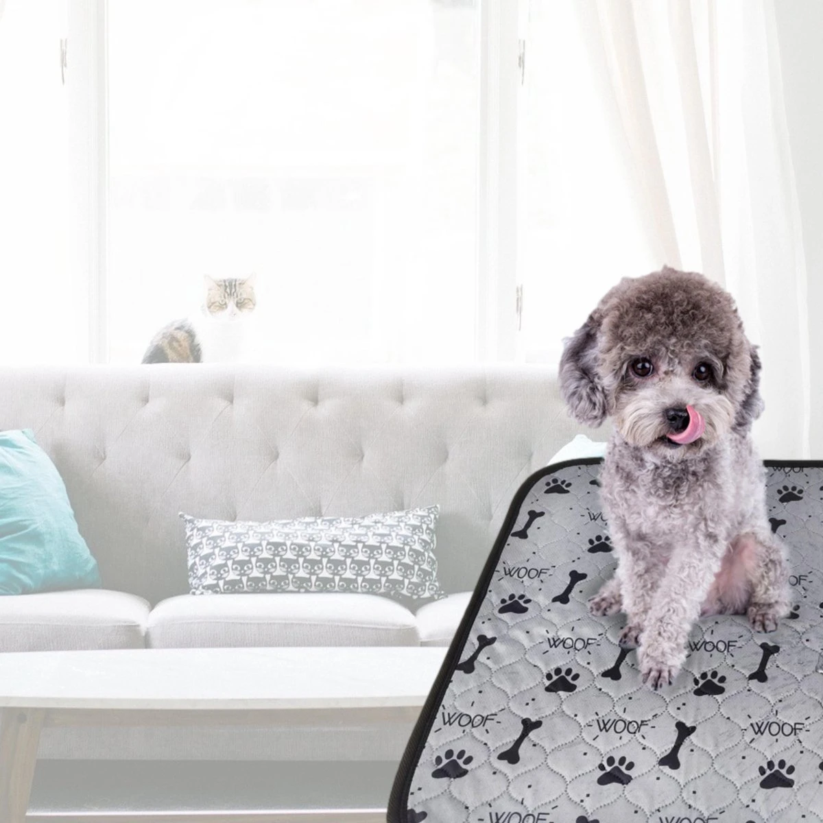 Jooba Puppy Training Pads - Wasbare Puppy Pads 2 Stuks - Hondentoilet - 70x50cm - Puppy 8 Jooba Puppy Training Pads - Wasbare Puppy Pads 2 Stuks - Hondentoilet - 70x50cm - Puppy - Afbeelding 8